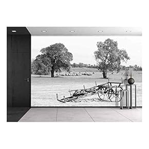 Antique Farming Equipment Monochromatic Image - Removable Wall Mural | Self-Adhesive Large Wallpaper - 66x96 inches