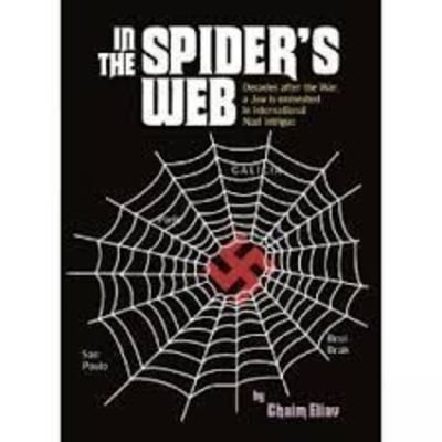 In the Spider's Web; Decades After the War, a Jew Is Enmeshed in International Nazi Intrigue