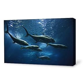 Canvas Wall Art Lovely Dolphin Canvas Prints Home Artwork Decoration for Living Room,Bedroom - 12x18 inches