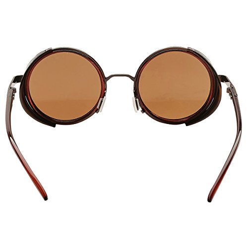 Dollger Steampunk Vintage Retro Sunglasses Metal Circle Frame (Brown Lens+Brown Frame, 100% UV Protection Lens)