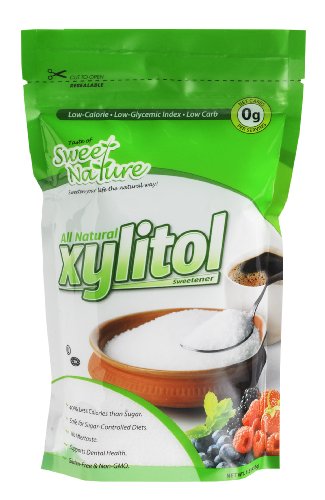Sweet Nature Xylitol Sugar Free Sweetener Kosher All Natural Low Carb, 1lb
