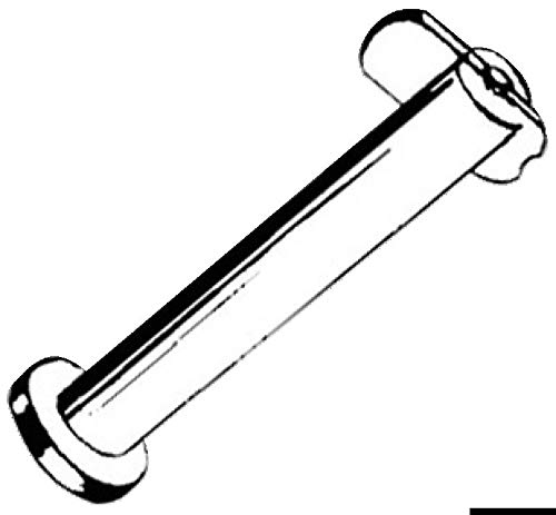 Osculati SS drop nose pin 6 x 25mm