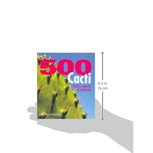 500 Cacti: Species and Varieties in Cultivation