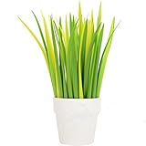 Black Gel Ink Pen Forest Green Grass Leaf Novelty Design Grass Pen Glass Blade Grass Leaf Shaped Rollerball Pens Creative Stationery Gift Pack of 24