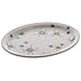 Sputnik Retro Atomic Starburst Dinner Plate