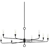 Troy Lighting F9542-BI Orson - 8 Light Chandelier-21 Inches Tall and 41.5 Inches Wide, Finish Color: Black Iron, Installation