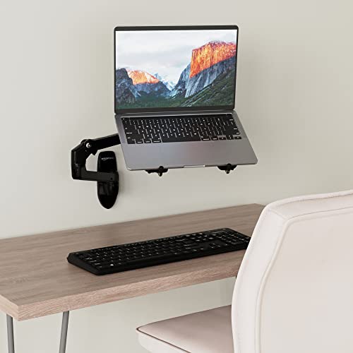 Amazon Basics Wall Mount Computer Monitor and TV Stand Lift Engine
