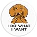 Dachshund Dog Doxie Saying White Cute Funny Gift PopSockets PopGrip: Swappable Grip for Phones & Tablets