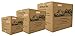 Tag-A-Room Color Coded Home Moving Alert Box Label Stickers (Fragile)