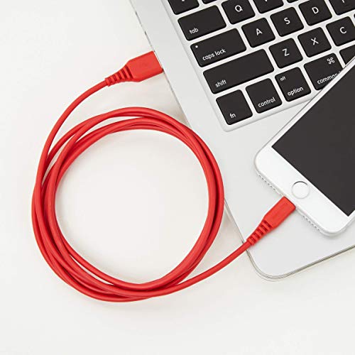 4 AmazonBasics+Lightning+USB+Cable+Certified