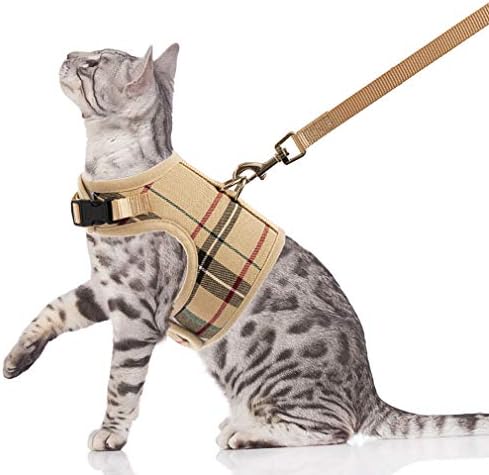 BINGPET Escape Proof Cat Harness with Leash – Adjustable Soft Mesh Vest for Walking