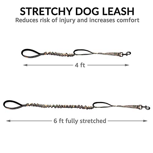 PetSpy Two Handle Dog Leash with Shock Absorbing - Improved Control & Training Bungee Pet Lead 4-6 ft (Green)