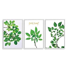 3 Piece Framed Canvas Wall Art for Living Room, Bedroom Green Plants Theme Canvas Prints for Home Decoration Ready to Hang - 16"x24"x3 Panels