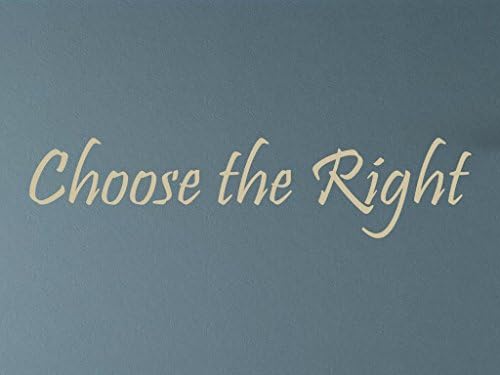 Vinylsay 146.Choose-M.Tan -66x15 Choose the Right Saying Wall Decal