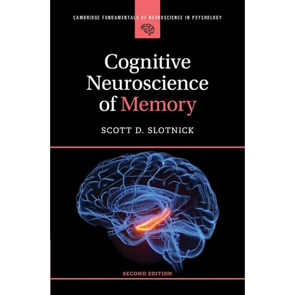 Amazon.com: Fundamentals of Developmental Cognitive Neuroscience