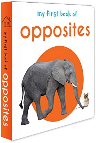 My First Book of Opposites: First Board Book (My First Books)