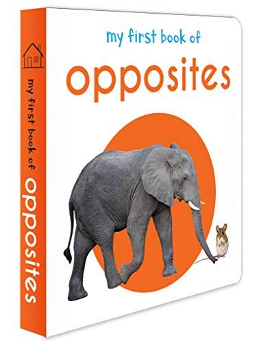 My First Book of Opposites: First Board Book (My First Books)
