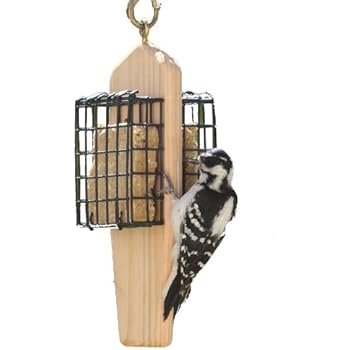 Amazon Com Birds Choice 2 Cake Hanging Suet Feeder Garden