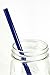 Reusable Glass Drinking Straw with Travel to Go Protective Carrying Case Holder and Cleaning Brush | Perfect for Home, Office or Gift | Straight 8 in x 9.5 mm Healthy, Eco Friendly (Brilliant Blue)