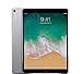 Apple iPad Pro 12.9in 64GB WiFi Only, Space Grey (Renewed)