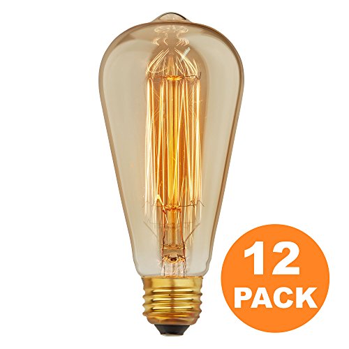 [12 Pack] Vintage Edison Bulbs with Squirrel Cage Filament, 60W