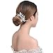 FAYBOX Bridal Handmade Silver Tone Crystal Leaf Style Hair Side Comb Party Anniversary Wedding Accessories