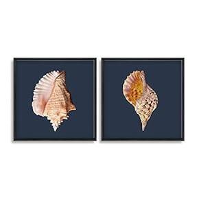 2 Piece Framed Canvas Wall Art for Living Room, Bedroom Conch Theme Canvas Prints for Home Decoration Ready to Hang - 16"x16"x2 Panels