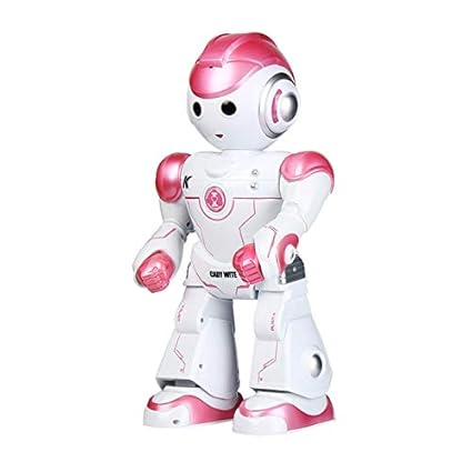 humanoid robot for kids