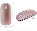 2win2buy Rechargeable Wireless Mouse,2.4G Optical Sensor Ultra Slim Mice + USB Receiver for Notebook, PC, Laptop, Computer, Macbook (Rose Gold)