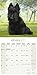 Scottish Terrier Calendar 2017 - Dog Breed Calendars - 2016 - 2017 wall calendars - 16 Month by Avonside