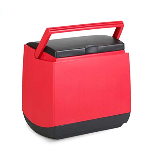 Click Here to See More Images DSHBB Car Fridge Mini,Mini Fridges ,Portable Car Refrigerator Home Camping Fridge