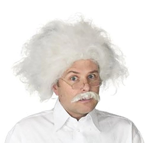 Albert Einstein Wig and Mustache Adult Costume Accessory