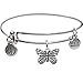 Bangle Bracelet and Butterfly Charm