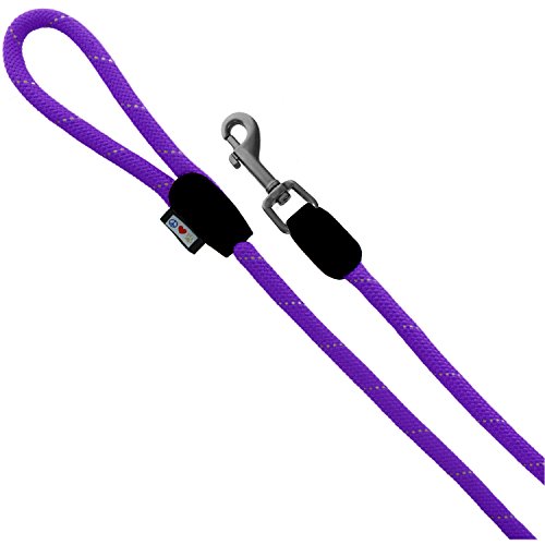 Pawtitas Pet Training 6 foot Reflective Rope Puppy / Dog Leash Medium / Large Purple