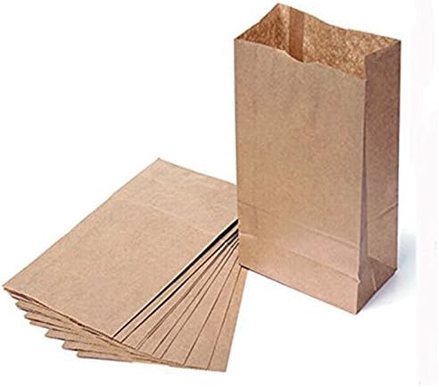 The Young® Large 10 Brown Kraft Paper Gift Bags Brown Paper Bags (Large 10)