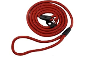 Dog Leash Pet Nylon Rope Training Leash Slip Strap Adjustable Traction Collar Practical Design