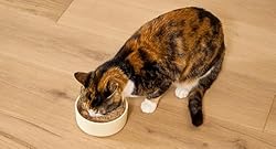 Open Farm Canned Cat Food - Kitten - Chicken and