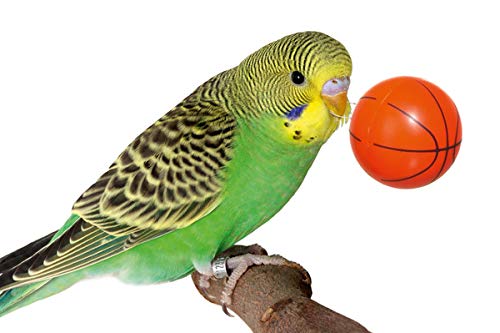 Karlie Bird Toy
