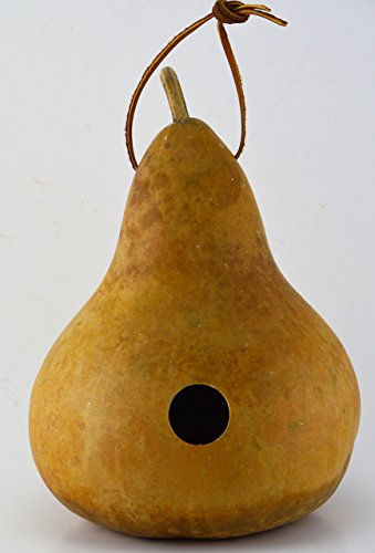 Gourd Birdhouse, Unfinished, Create Your Own Birdhouse, Childrens Crafts, Arts and Crafts, Outdoor crafts, Rustic DÃ©cor, Country Life, Bird Lovers, Kids Project