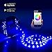 TINGKAM 32.8ft(10M) RF Strip Lights Compatible Alexa,Wireless WiFi Smart Phone Controlled Light Strip Kits 300leds 5050 Waterproof Strip Lights,Working with Android and iOS, Google Home Assistant