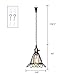 Vintage Pendant Light, Pauwer Wire Cage Lamp Plug-in Edison Pendant Light Cage with On/Off Switch (1 Light)