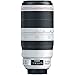 Canon EF 100-400mm f/4.5-5.6L is II USM Lens Bundle with Vanguard VEHO Ball Head Tripod, 64GB Memory Card, Backpack and Accessories (5 Items)