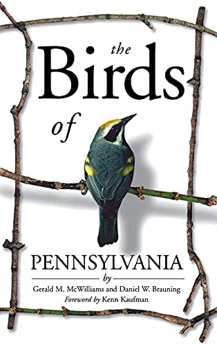Birds of the Forest: Lansdowne, James Fenwick: 9780884860273