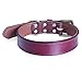 Moonpet Soft Padded Real Genuine Leather Dog Collar-Best Full Grain Heavy Duty Dog Collar-Durable Strong Adjustable for Small Medium Large X-Large Male Female Dogs Walking Run-Dark Brown,16-20''