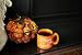 Pumpkin Campfire Mug - Fall Decor - Rustic Decor - Good Morning Pumpkin - Fall Coffee Mug - Pumpkin Spice Latte - Gift for Friend