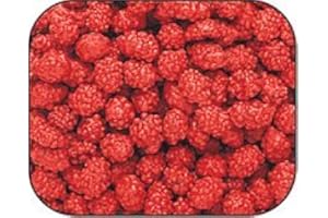 FERRARA PAN French Burnt Peanuts, 1LB