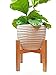 Plant Stand /13