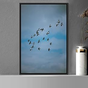 signwin Framed Canvas Wall Art Flock of Birds...