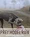 PREY MODEL RAW: Rohfütterung für Hunde (German Edition) by Karolin Fuchs
