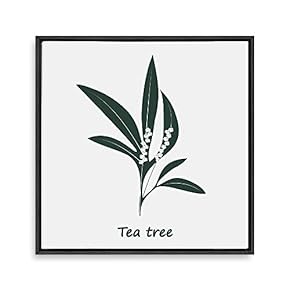 Framed Canvas Wall Art for Living Room, Bedroom Nordic Style Plants Theme Canvas Prints for Home Decoration Ready to Hang - 16x16 inches